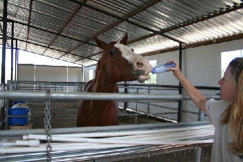 Fun Stuff at Connections