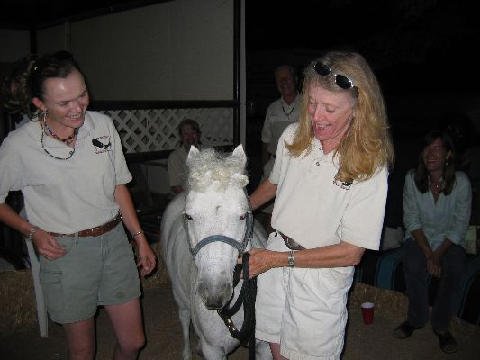 Fun Stuff at Connections