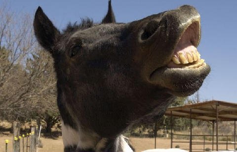 Fun Stuff at Connections