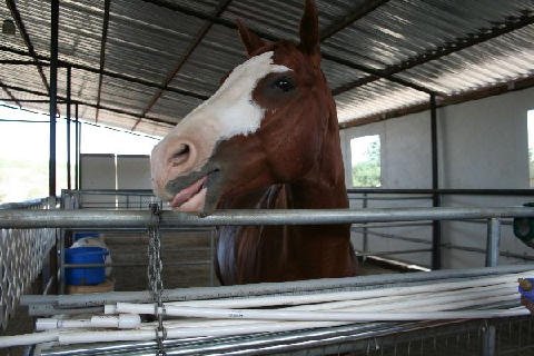 Fun Stuff at Connections