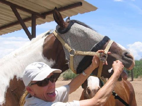 Fun Stuff at Connections