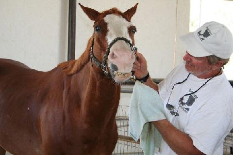 Fun Stuff at Connections