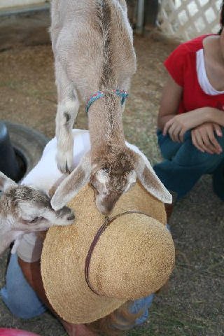 Fun Stuff at Connections