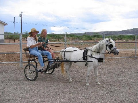 Fun Stuff at Connections