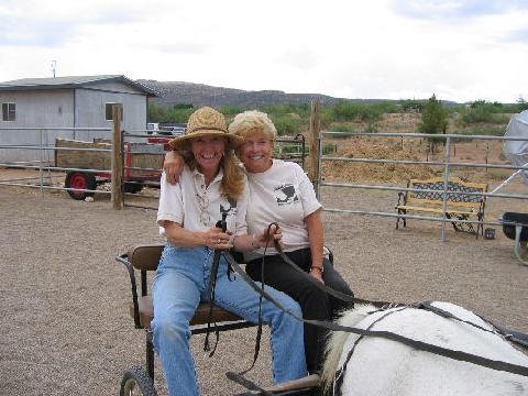 Fun Stuff at Connections