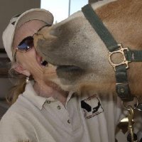 Fun Stuff at Connections