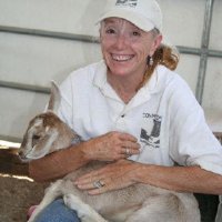 Fun Stuff at Connections