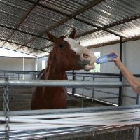 Fun Stuff at Connections