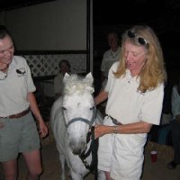 Fun Stuff at Connections