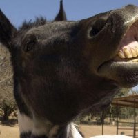 Fun Stuff at Connections