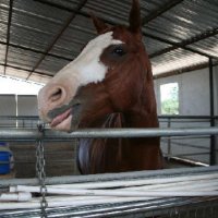 Fun Stuff at Connections