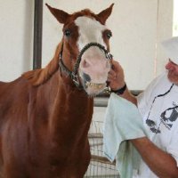 Fun Stuff at Connections