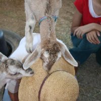 Fun Stuff at Connections