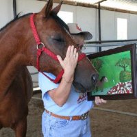 Fun Stuff at Connections