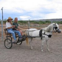 Fun Stuff at Connections