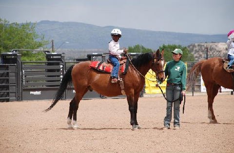 Horse-Show-April-21-2007