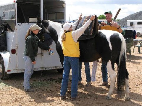Horse-Show-April-21-2007