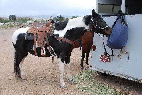 Horse-Show-April-21-2007