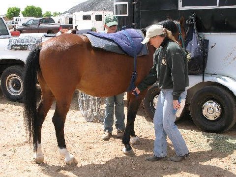 Horse-Show-April-21-2007