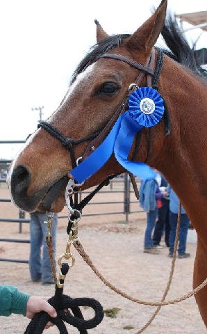 Horse-Show-April-21-2007