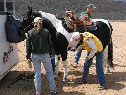 Horse-Show-April-21-2007