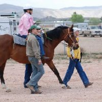 Horse-Show-April-21-2007