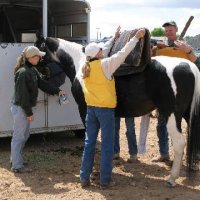 Photo Archive » Horse-Show-April-21-2007