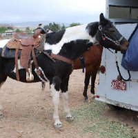 Horse-Show-April-21-2007