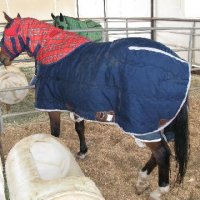 Horse-Show-April-21-2007