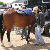 Horse-Show-April-21-2007
