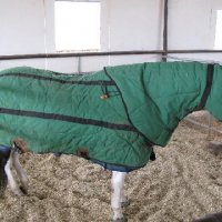 Horse-Show-April-21-2007