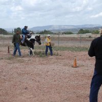 Horse-Show-April-21-2007
