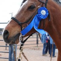 Horse-Show-April-21-2007