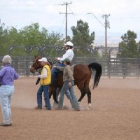 Horse-Show-April-21-2007