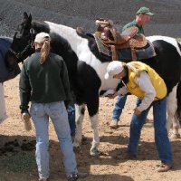 Horse-Show-April-21-2007