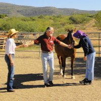 Photo Archive » OLLI