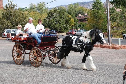Spurs- Spokes-October-27-2007