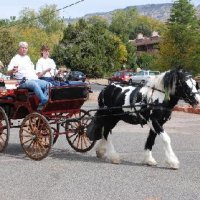 Photo Archive » Spurs- Spokes-October-27-2007