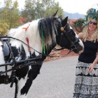 Spurs- Spokes-October-27-2007