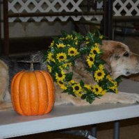 Volunteer-Dinner-2011