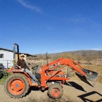 New Arena -  Jan. 2012