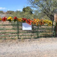 Photo Archive » volunteer-dinner-2012